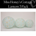 Load image into Gallery viewer, Mint Gingham Daisies Lantern 3 Pack | Miss Honey's Cottage Classroom
