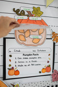 Load image into Gallery viewer, pumpkin facts craft and writing activity