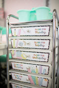 Load image into Gallery viewer, printable pastel classroom decor