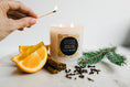 Load image into Gallery viewer, Sweater Weather Candle | StyleHouse Design Studio