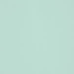 Mint To Be | Pastel Green | Bulletin Board Pape