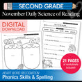Load image into Gallery viewer, Printable Second Grade November Daily Science of Reading