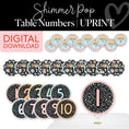 Load image into Gallery viewer, Shimmer Pop Classroom table numbers