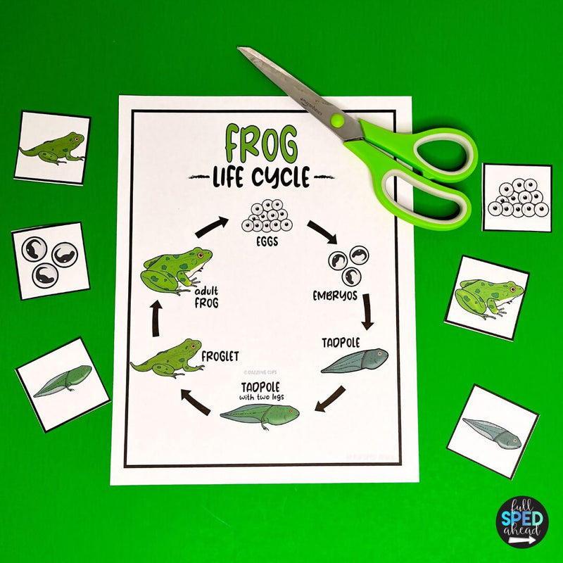Life Cycle of a Frog Science Adaptive Book and Worksheet for Special Education
