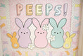 Load image into Gallery viewer, Spring Pre-Printed Door Decor Bulletin Board Set | Marshmallow Meadow