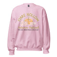Load image into Gallery viewer, Stars Hollow Fall inspired sweatshirt in pink | Gilmore Girls Sweatshirt
