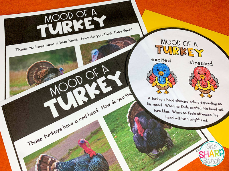 Turkey Shape Book Preview_003
