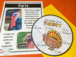 Turkey Shape Book Preview_007