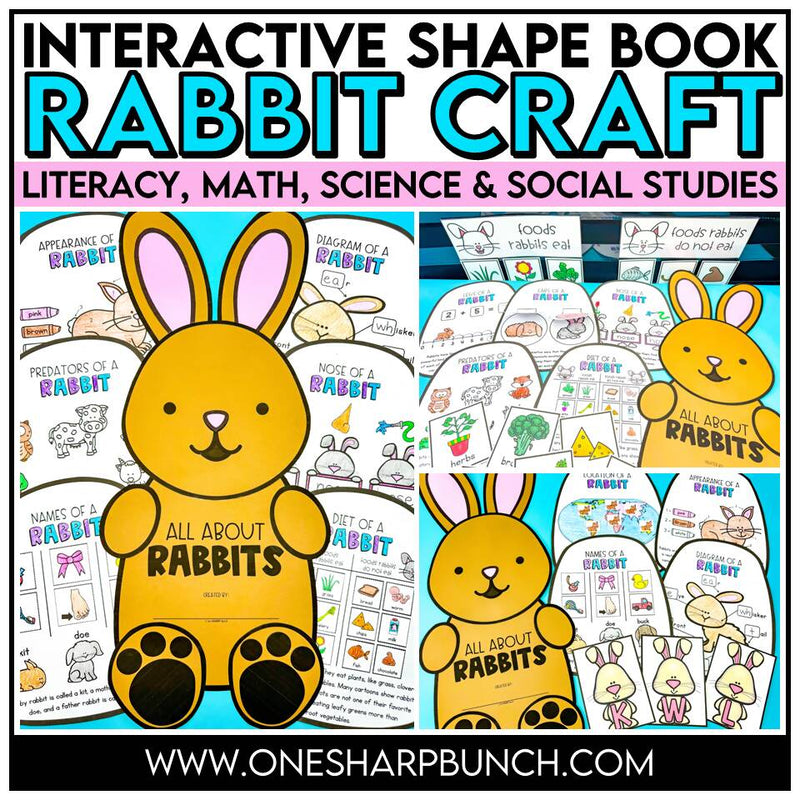 All About Rabbits, Easter Bunny Craft & Activities, Spring Craft Bulletin Board