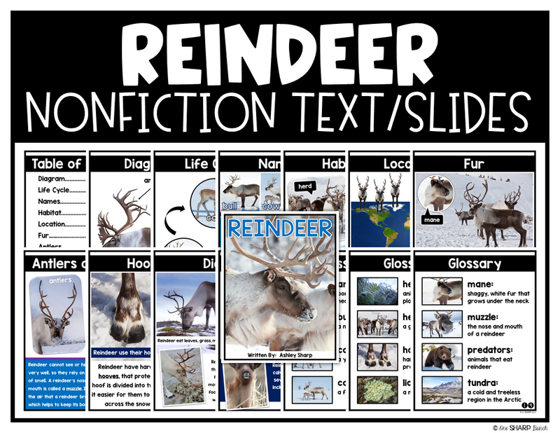 All About Reindeer Craft, Reindeer Math & Literacy, Christmas Craft & Activities | Printable Classroom Resource | One Sharp Bunch