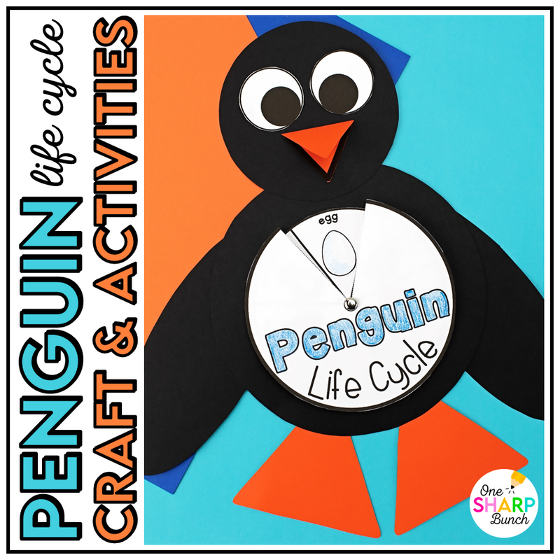 Penguins - Penguin Life Cycle Craft - Penguin Craft All About Penguins | Printable Classroom Resource | One Sharp Bunch