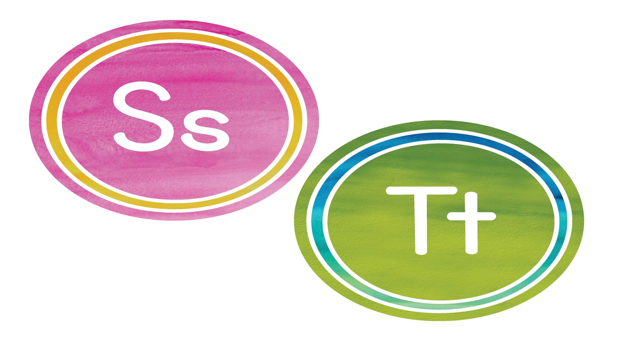 Word Wall Labels | Flamingo Watercolor | Schoolgirl Style