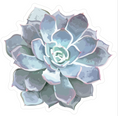 Load image into Gallery viewer, Cutouts | Neutral | Simply Stylish Succulent | UPRINT | Schoolgirl Style