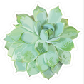 Load image into Gallery viewer, Cutouts | Neutral | Simply Stylish Succulent | UPRINT | Schoolgirl Style