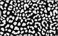 Load image into Gallery viewer, White on Black Leopard Dots Classroom Rug by Flagship