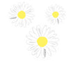 Load image into Gallery viewer, OOPS! A Daisy We Did It Again Makeover