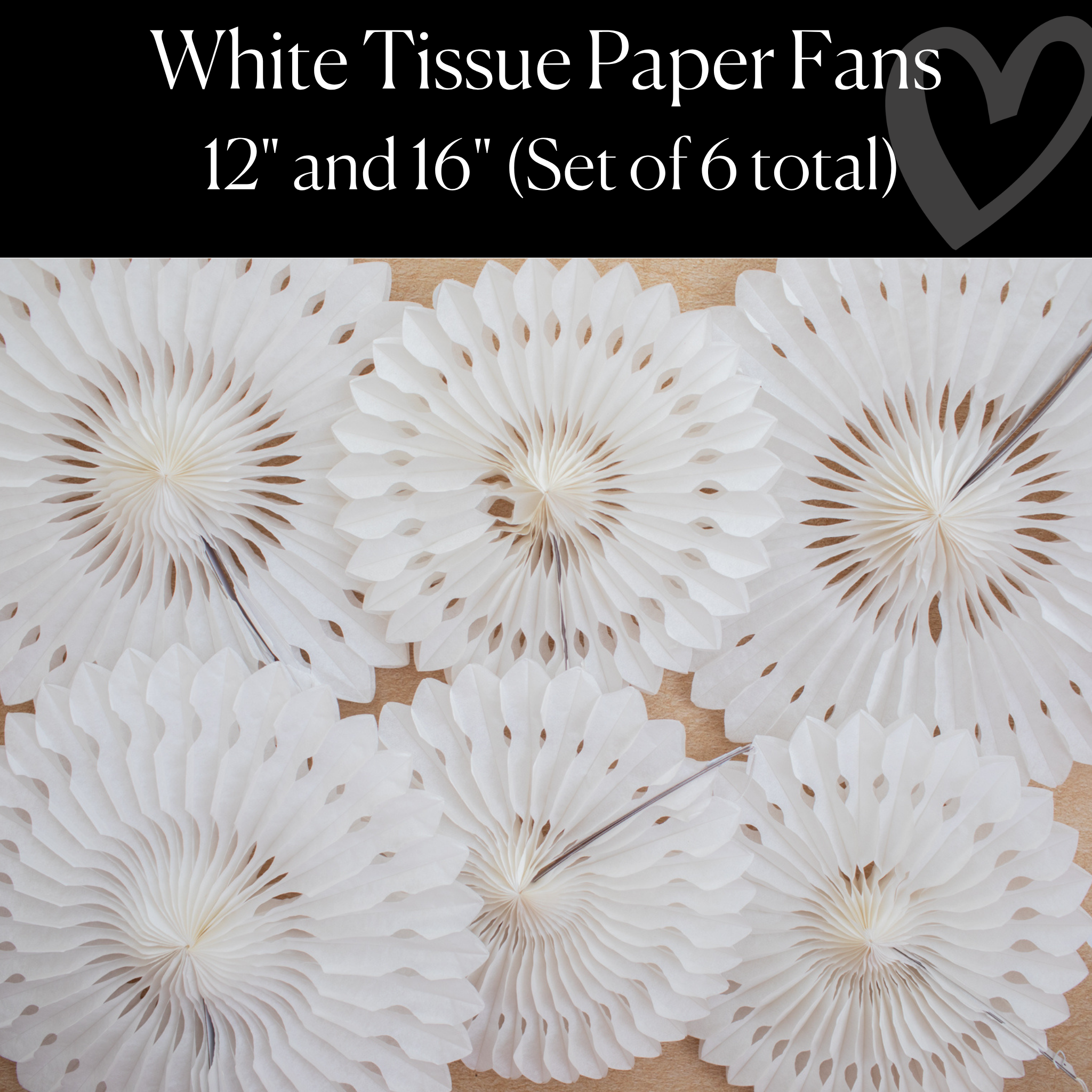 White Tissue Paper Fans Set of 6 | Bulletin Board Decor | Classroom Wall Decor