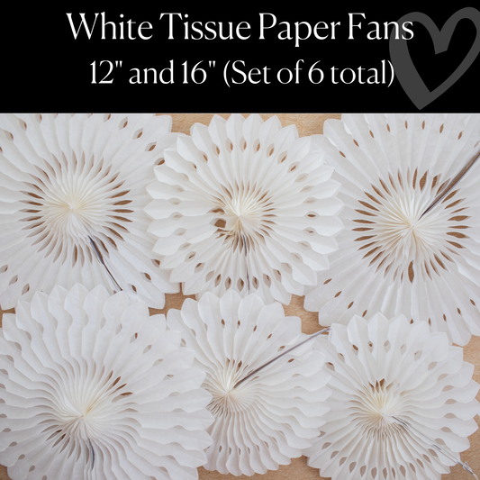 White Tissue Paper Fans Set of 6 | Bulletin Board Decor | Classroom Wall Decor