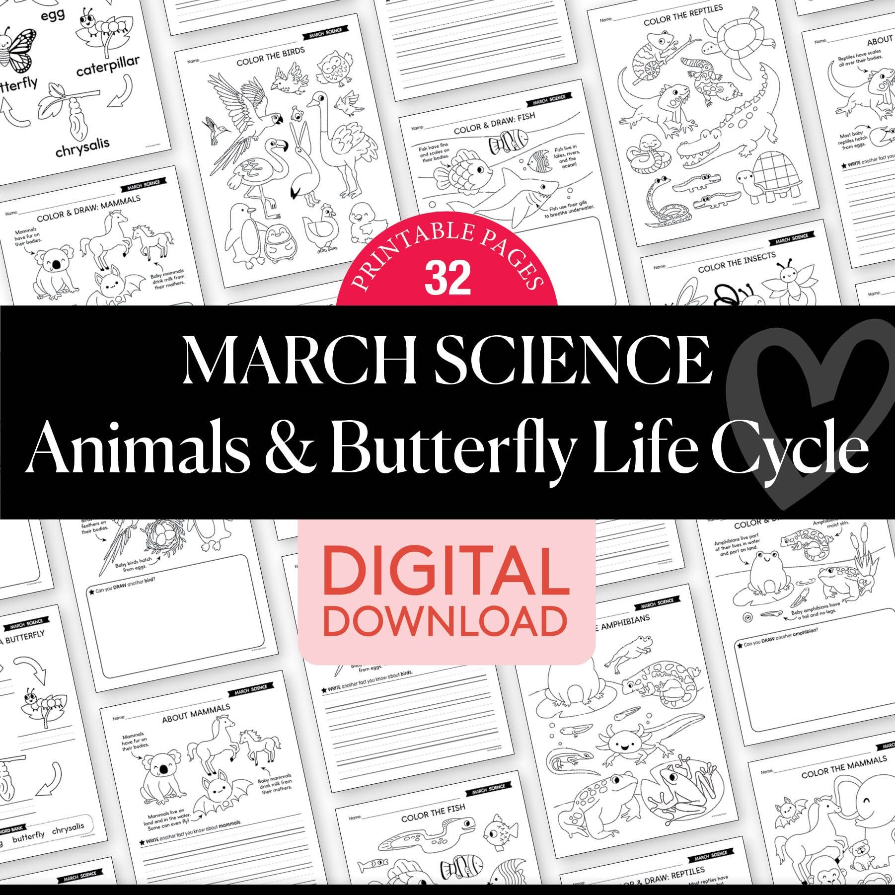 Printable March Science - Animals & Butterfly Life Cycle