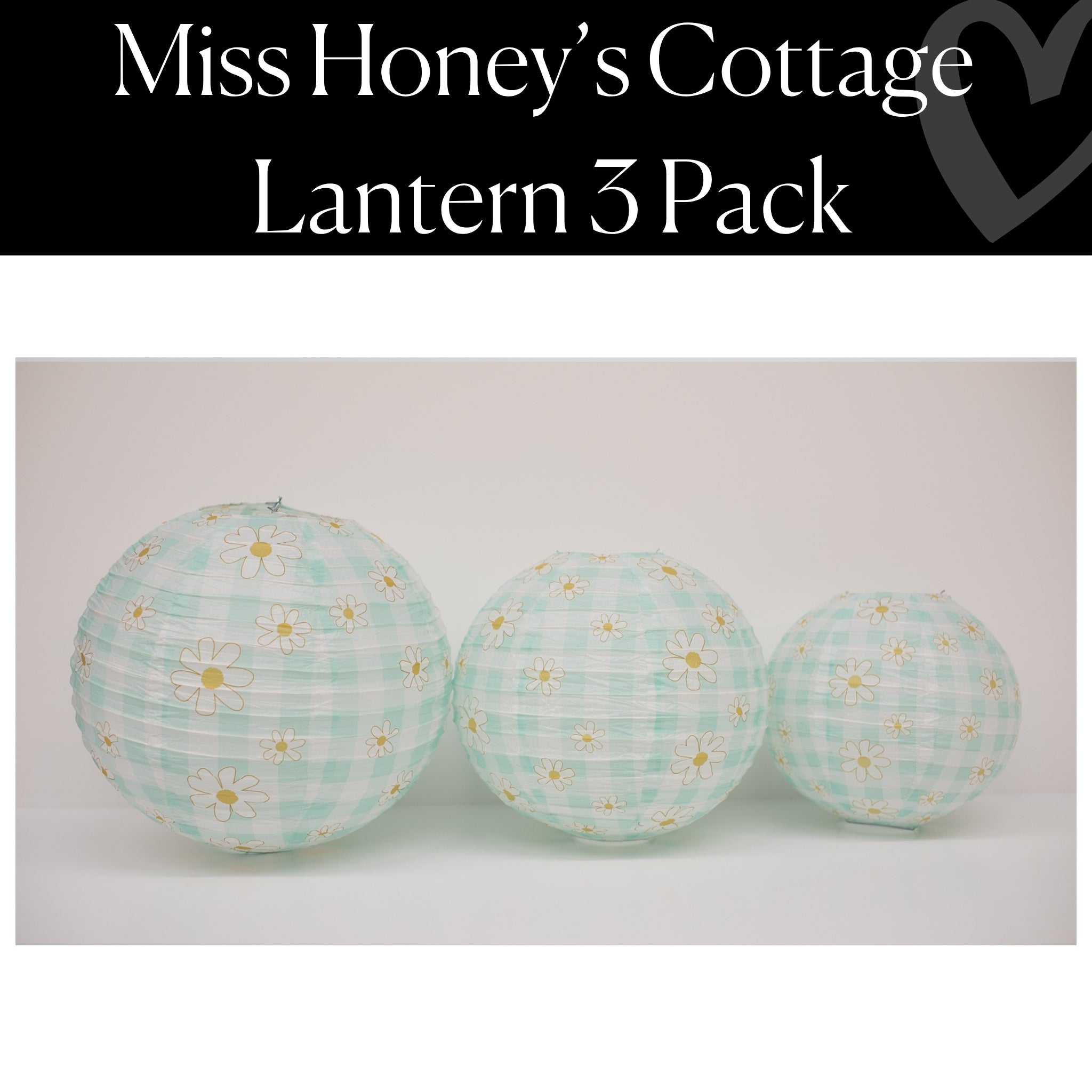 Mint Gingham Daisies Lantern 3 Pack | Miss Honey's Cottage Classroom