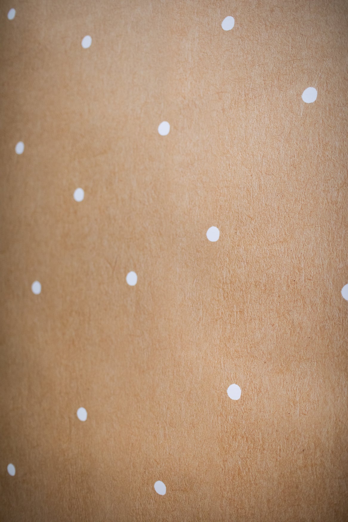 Banner Backdrop Bulletin Board Paper | Schoolgirl Style x Fadeless®