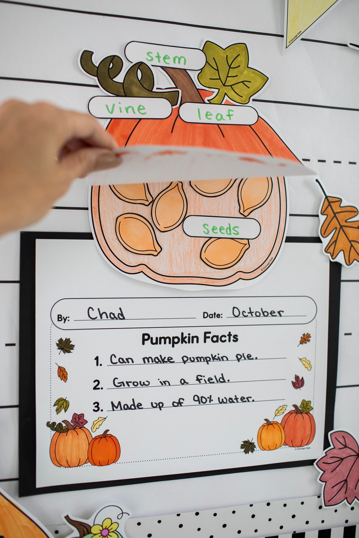 pumpkin facts craft and writing activity