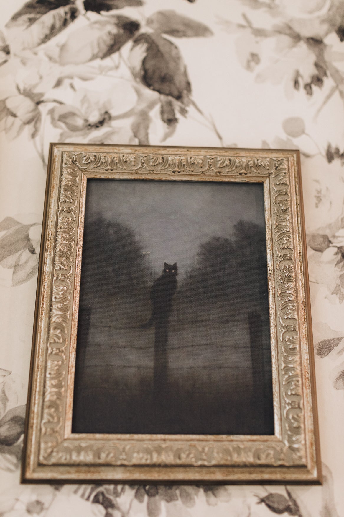 Black Cat Framed Art