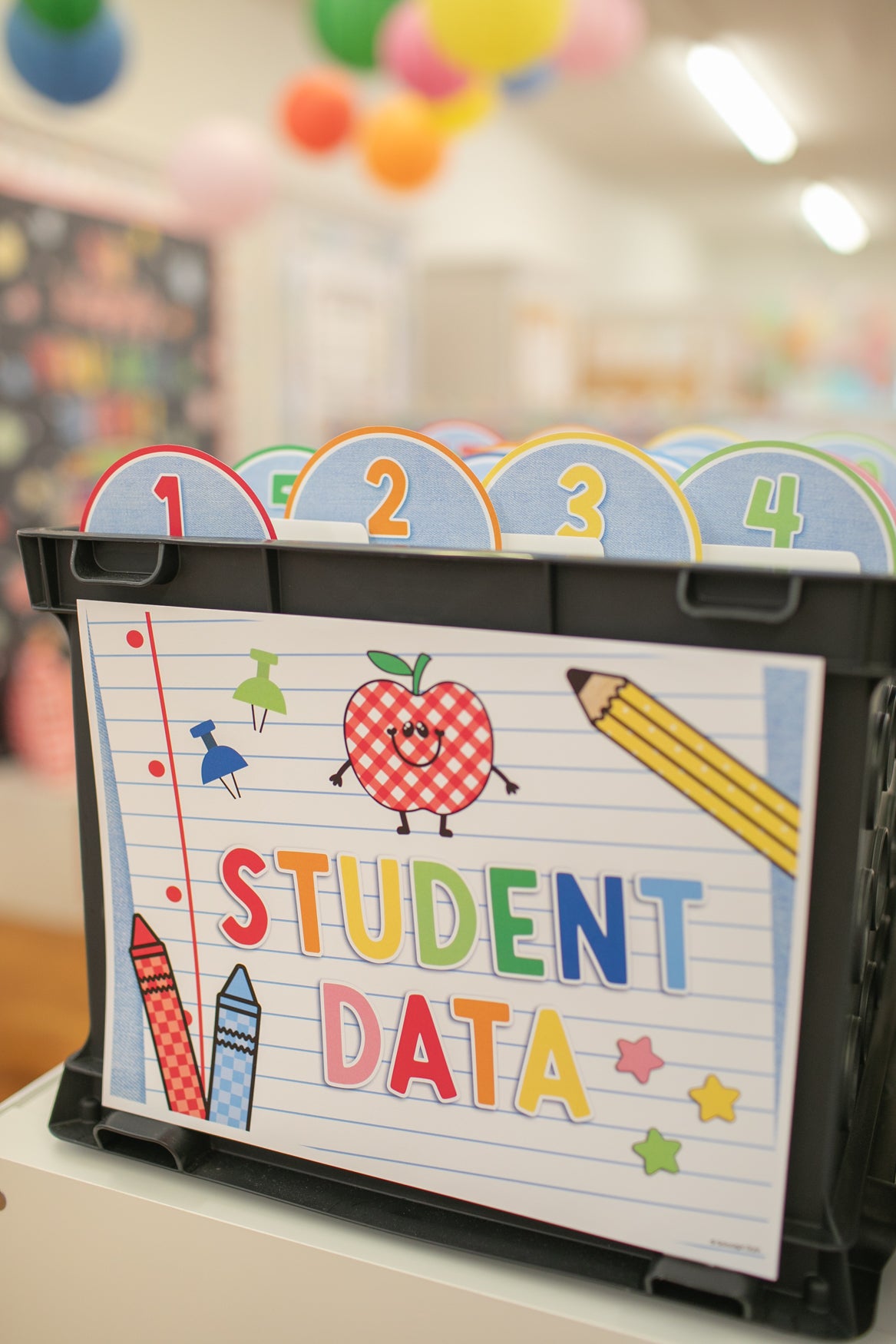 90s teacher printable student data bin