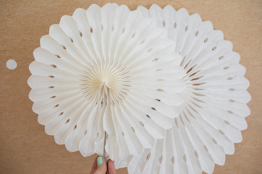 White Tissue Paper Fans Set of 6 | Bulletin Board Decor | Classroom Wall Decor