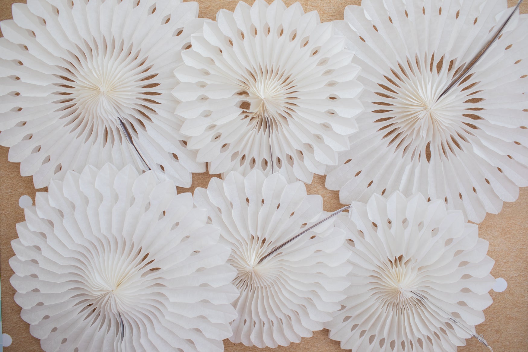 White Tissue Paper Fans Set of 6 | Bulletin Board Decor | Classroom Wall Decor