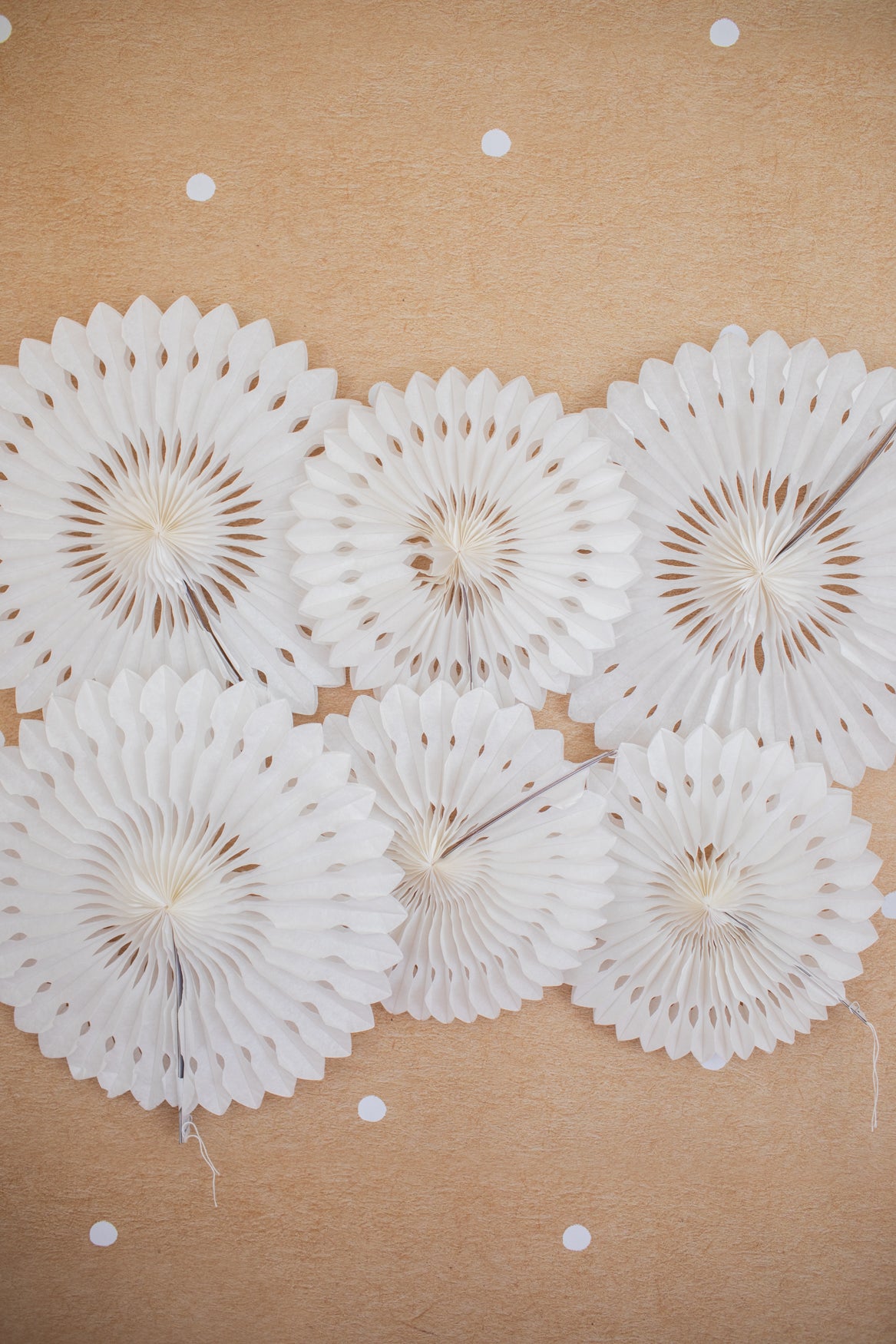 White Tissue Paper Fans Set of 6 | Bulletin Board Decor | Classroom Wall Decor