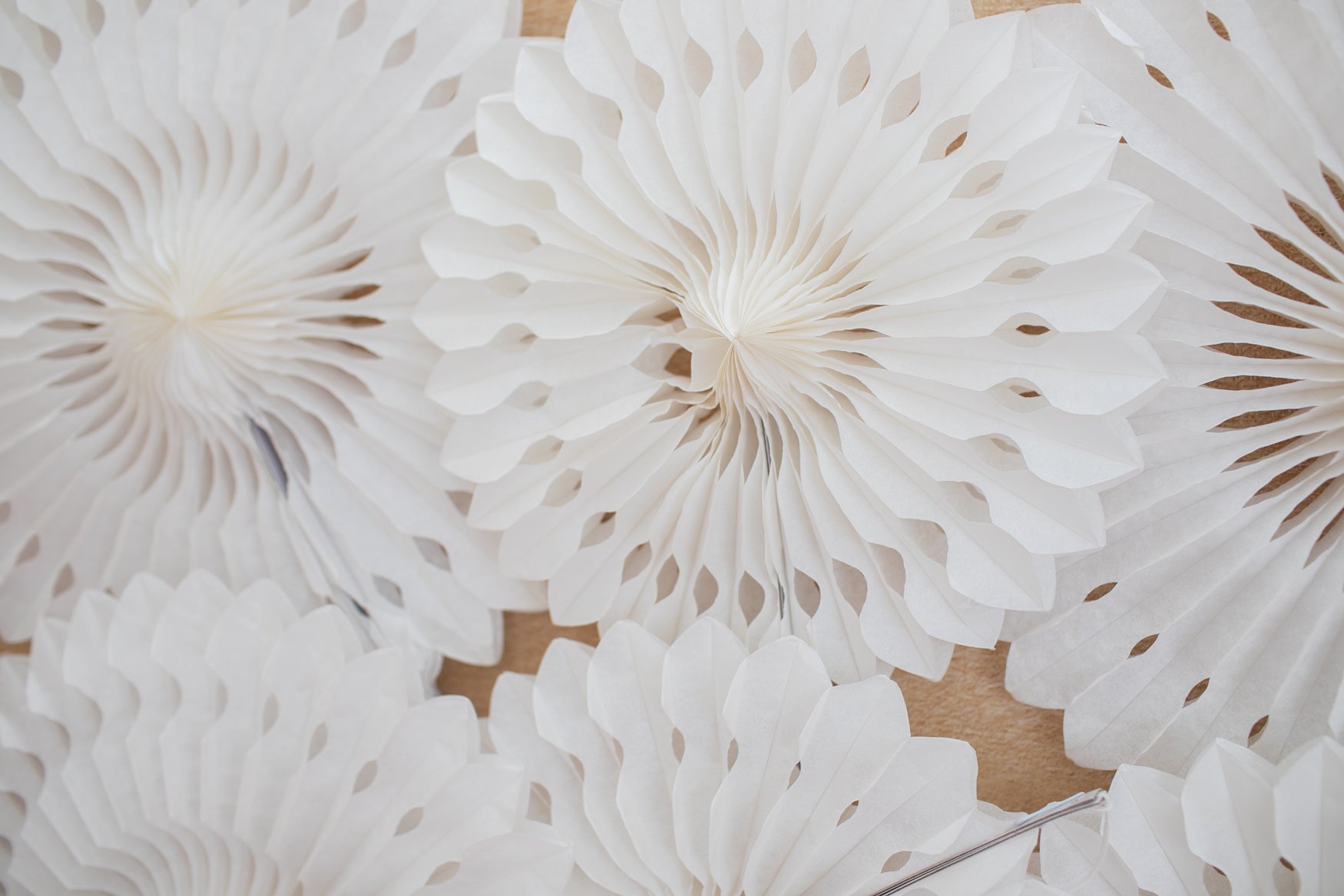 White Tissue Paper Fans Set of 6 | Bulletin Board Decor | Classroom Wall Decor