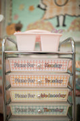 Load image into Gallery viewer, Printable Gingham Editable 10 Drawer Cart Labels | A Year In Pastel
