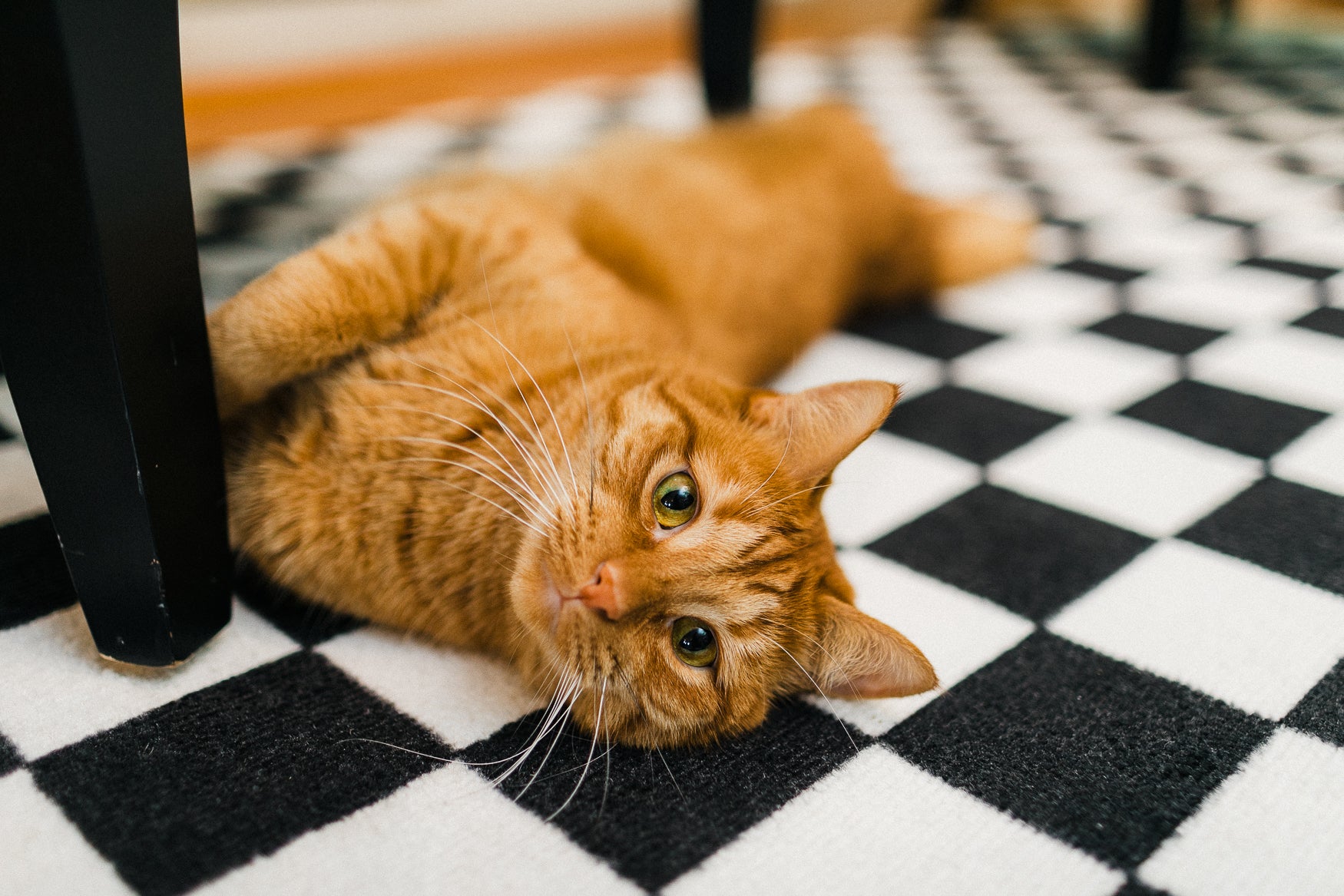 Black and White Checkerboard Rug | Neutral Classroom Rug | Retro Hopscotch | Schoolgirl Style