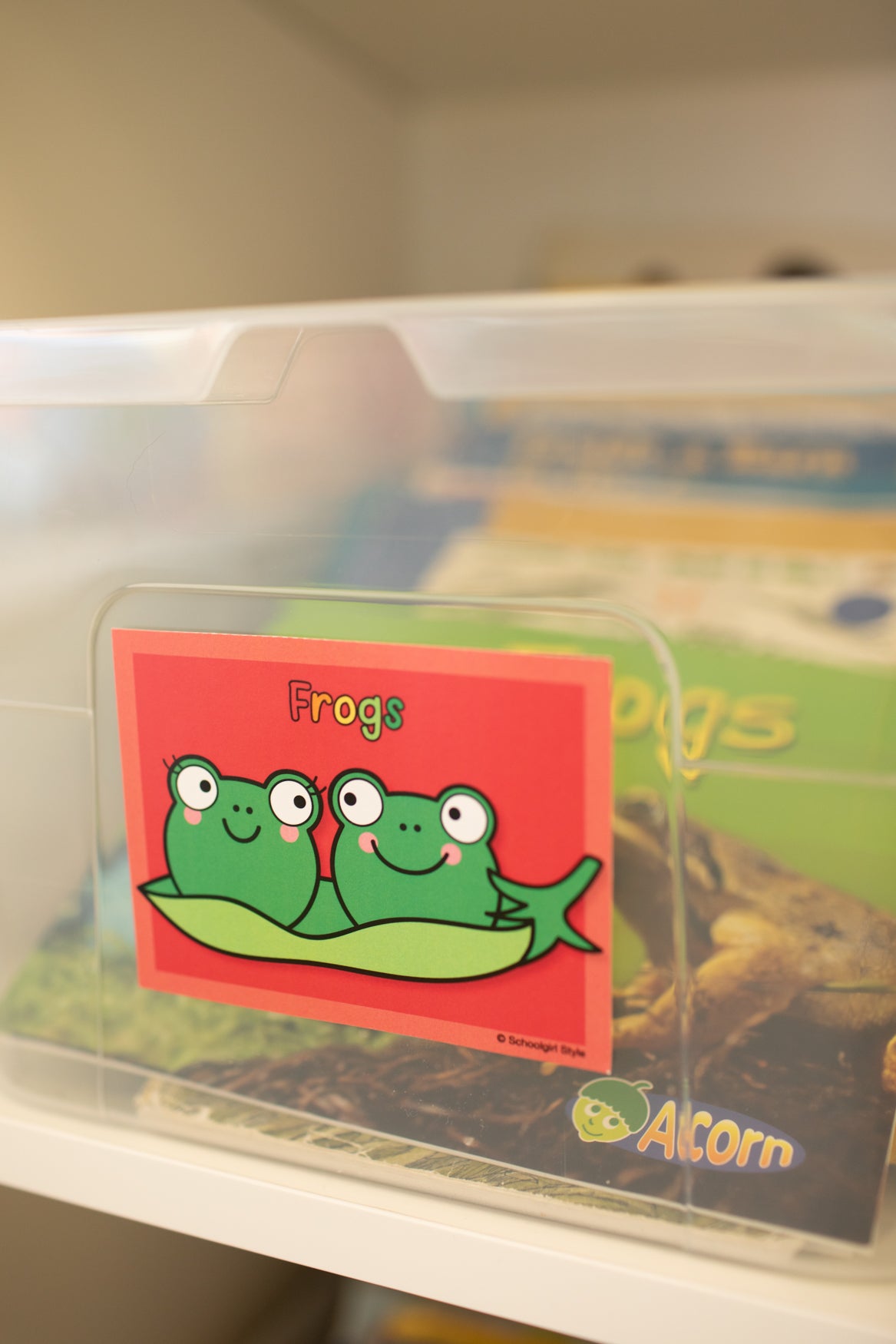 Printable Library Labels and Posters | 90s Teacher