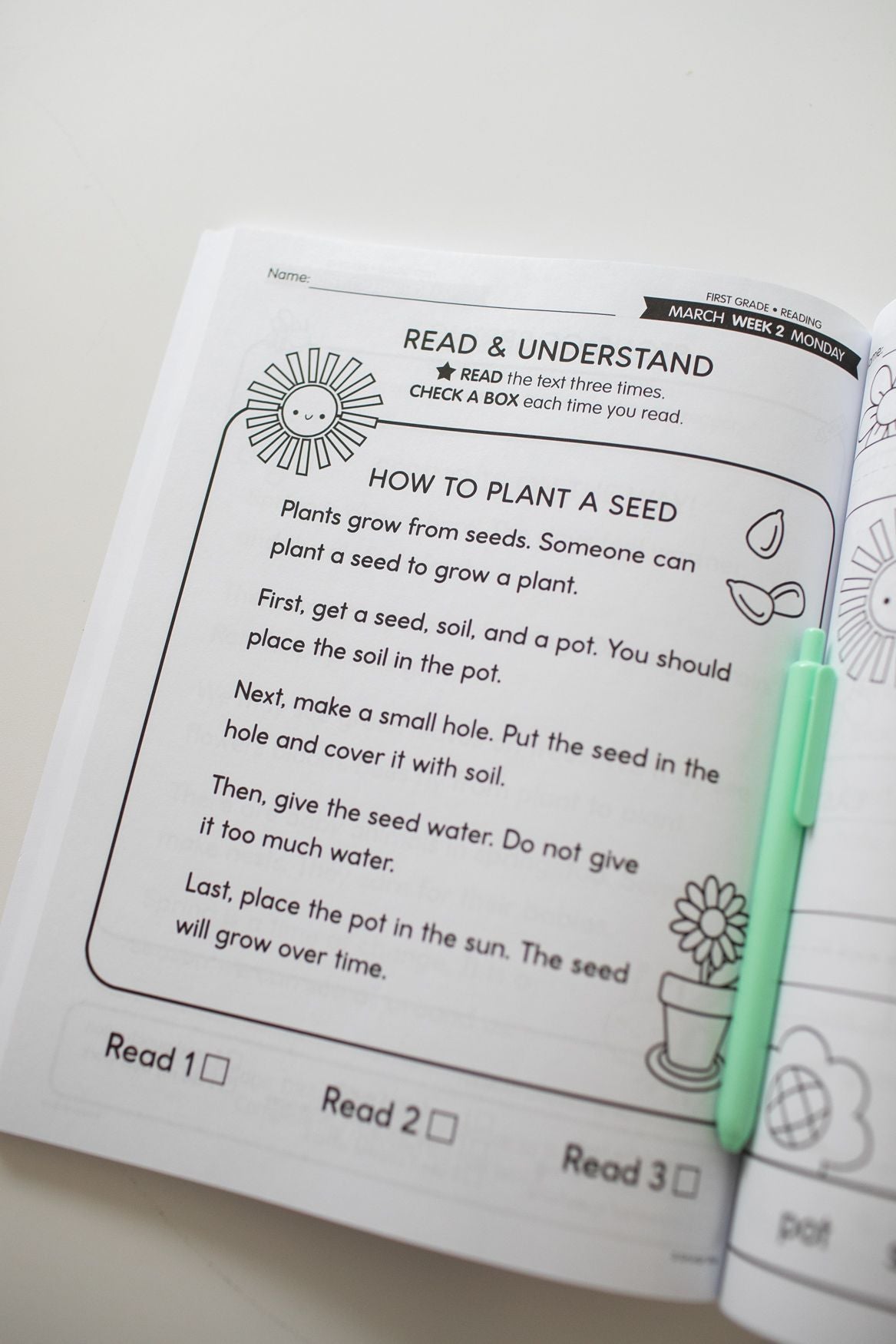 Ultimate First Grade March Thematic Unit Bundle