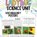 Ladybug Science & ELA Research Project | Nonfiction Unit | Life Cycle | Spring