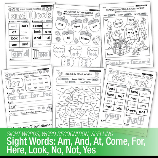 Printable First Grade November Daily Sight Words