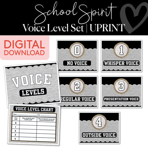 School Spirit Voice Level Set