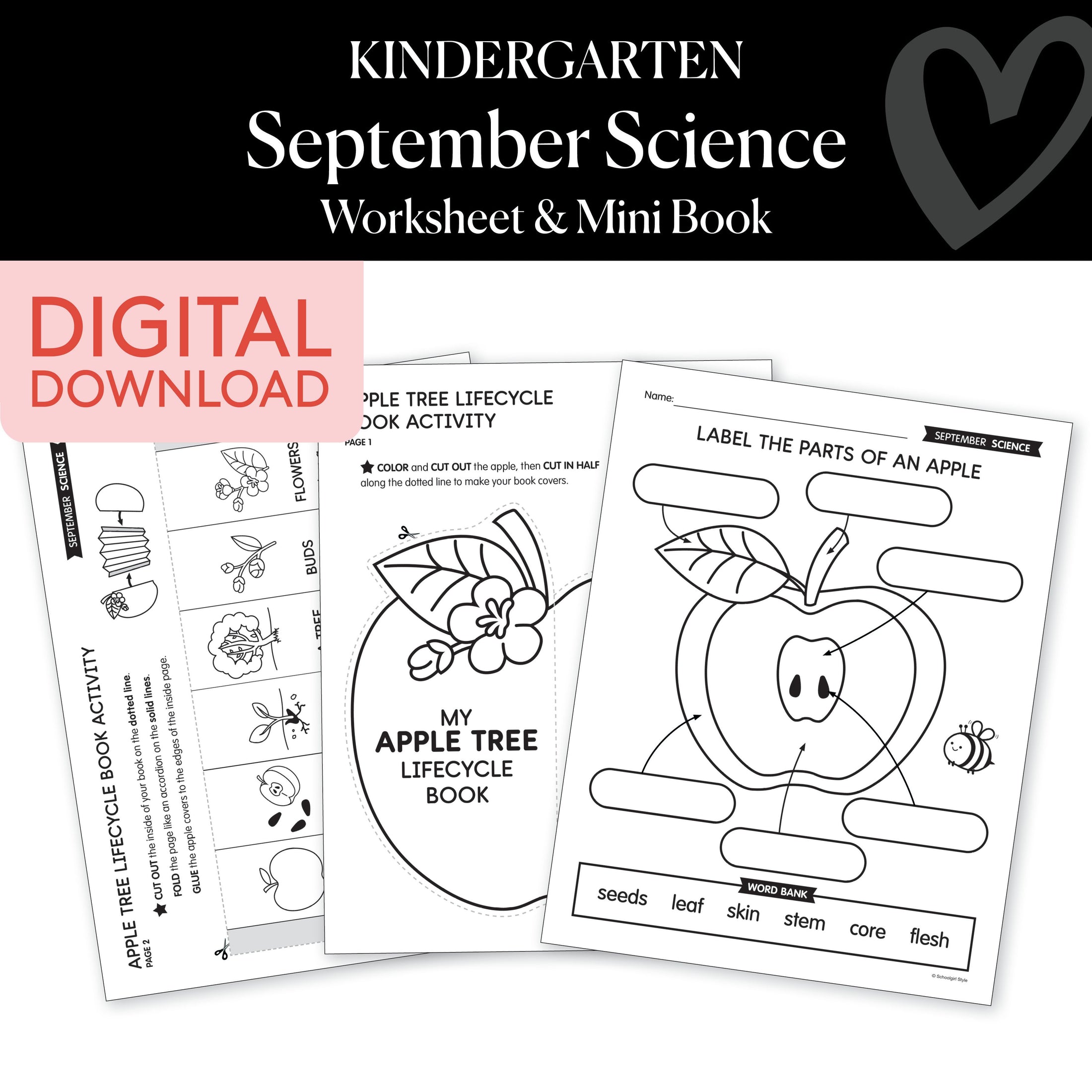 Kindergarten September Science Worksheet & Mini Book
