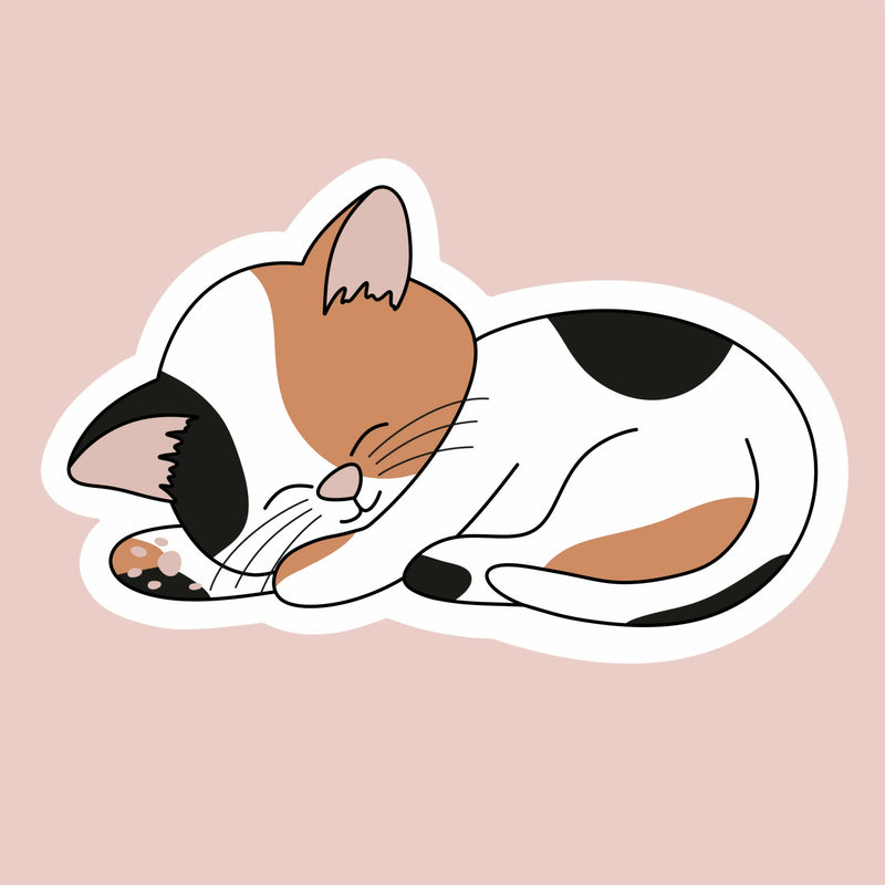 Sleeping Kitty Sticker