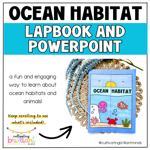 Ocean Habitat Unit | Lap Book & PPT | Life Cycles | Ocean Animals | 1st, 2nd