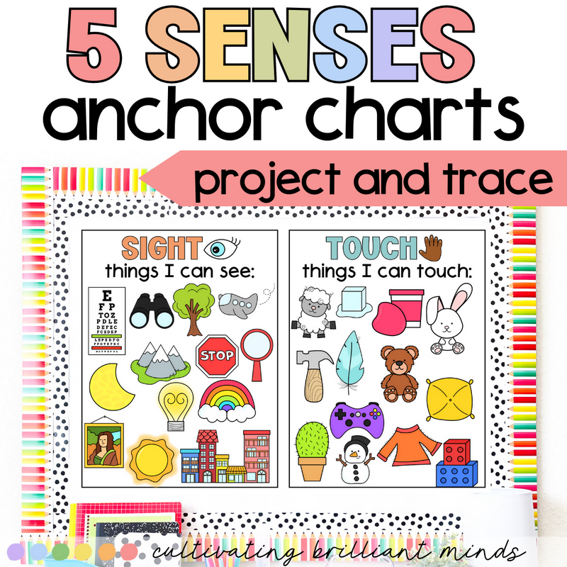 5 Senses Anchor Charts | Kindergarten Anchor Charts, First Grade | Science