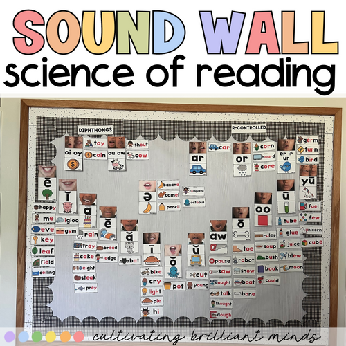 Science of Reading Sound Wall | Real Mouth Pictures | Vowel Valley | Phonics