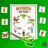Life Cycle of a Butterfly Science Adaptive Book & Worksheet Special Education