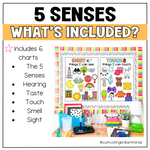 5 Senses Anchor Charts | Kindergarten Anchor Charts, First Grade | Science