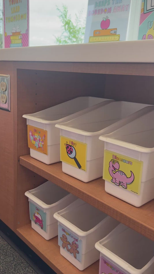 bright rainbow classroom library labels and posters 