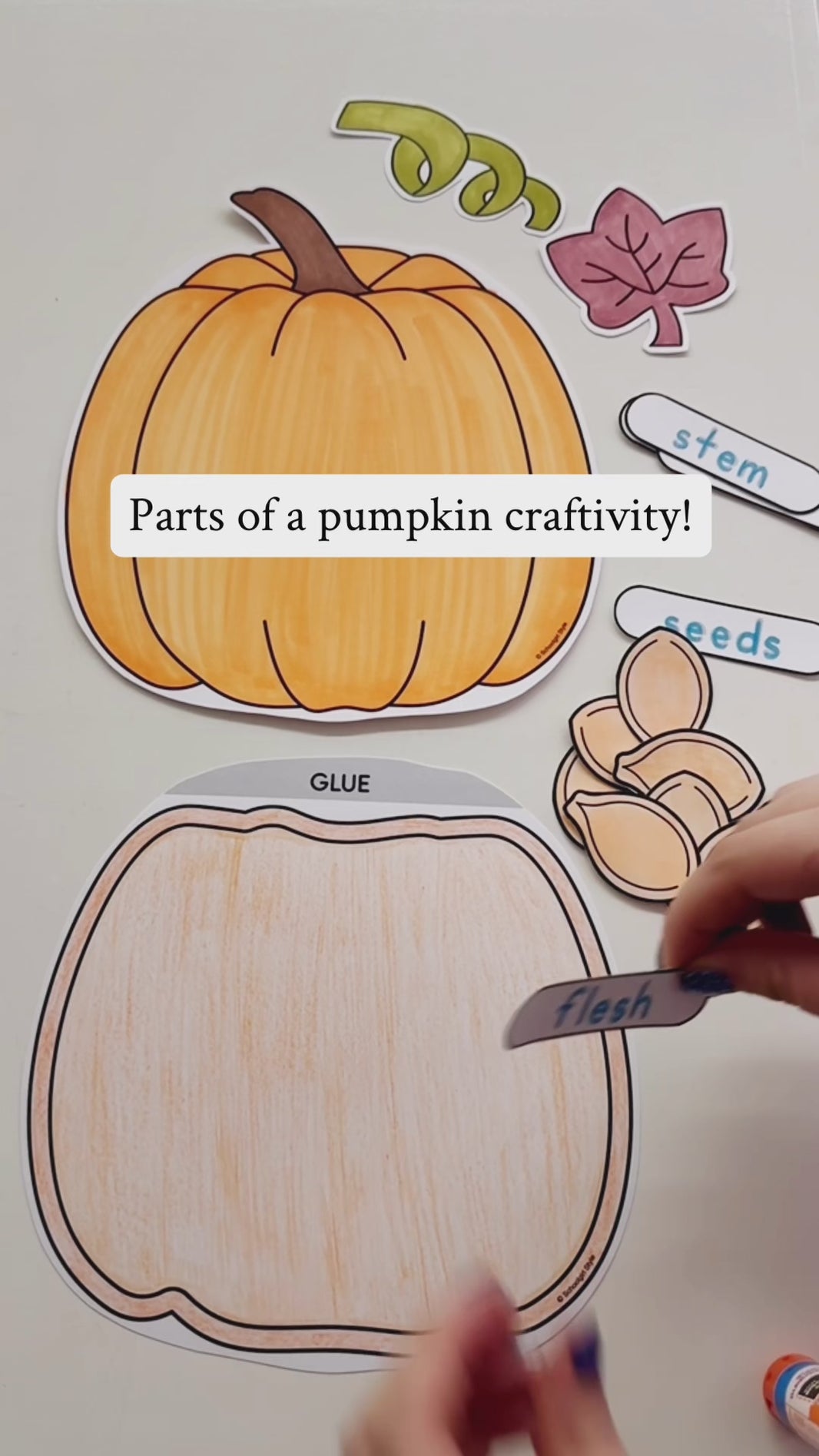 parts of a pumpkin october craft for kids