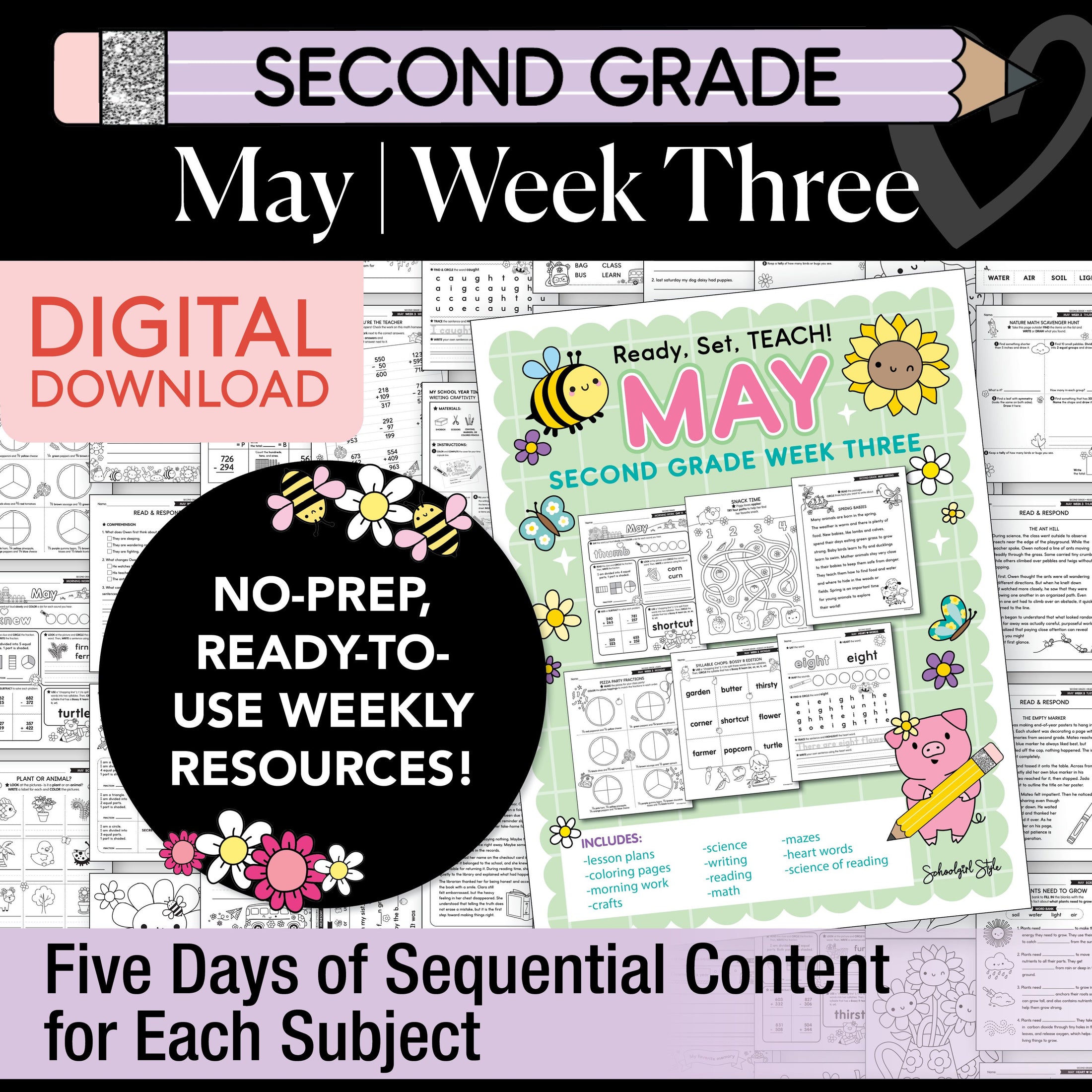 Printable Second Grade May Week 3 Resources