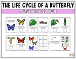 Butterfly Life Cycle Preview 2